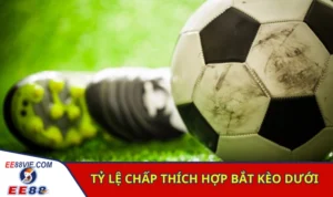 Cách Đánh Kèo Dưới Bao Ăn Thắng Lớn Từ Chuyên Gia 2 Các tỷ lệ chấp thích hợp khi bắt kèo kèo dưới