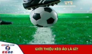 Cách Nhận Biết Kèo Ảo Đơn Giản Chuẩn Xác Cho Người Mới 5 Giới thiệu khái quát về hình thức kèo ảo