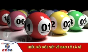 Bao Lô Là Gì - Giải Thích Chi Tiết Cho Người Mới Tìm Hiểu 3 Hiểu rõ đôi nét về bao lô là gì