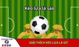 Kèo Lựa Ăn Bao Nhiêu? Bí Quyết Đánh Kèo Lựa Bất Bại 4 Khái niệm kèo lựa trong bóng đá là gì?