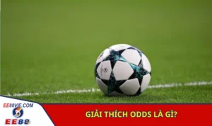 Odds Là Gì? Các Dạng Tỷ Lệ Cược Bóng Đá Hiện Nay 1 Lý giải tường tận odds là gì?