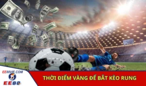 Cách Xem Kèo Rung Chính Xác Tăng Vốn Siêu Tốc 3 Thời điểm lý tưởng để người chơi đánh rung bóng đá